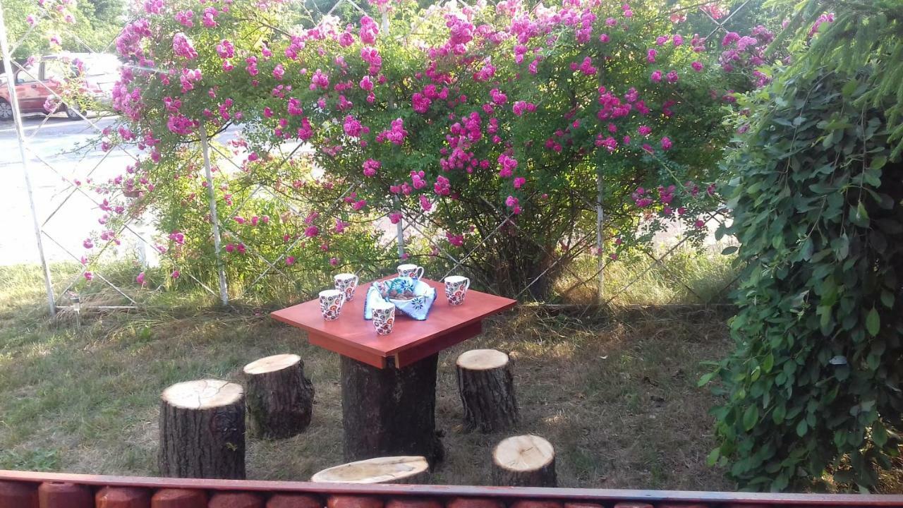 Dom Na Ludowo W Brzeznicy Appartement Brzeznica  Buitenkant foto